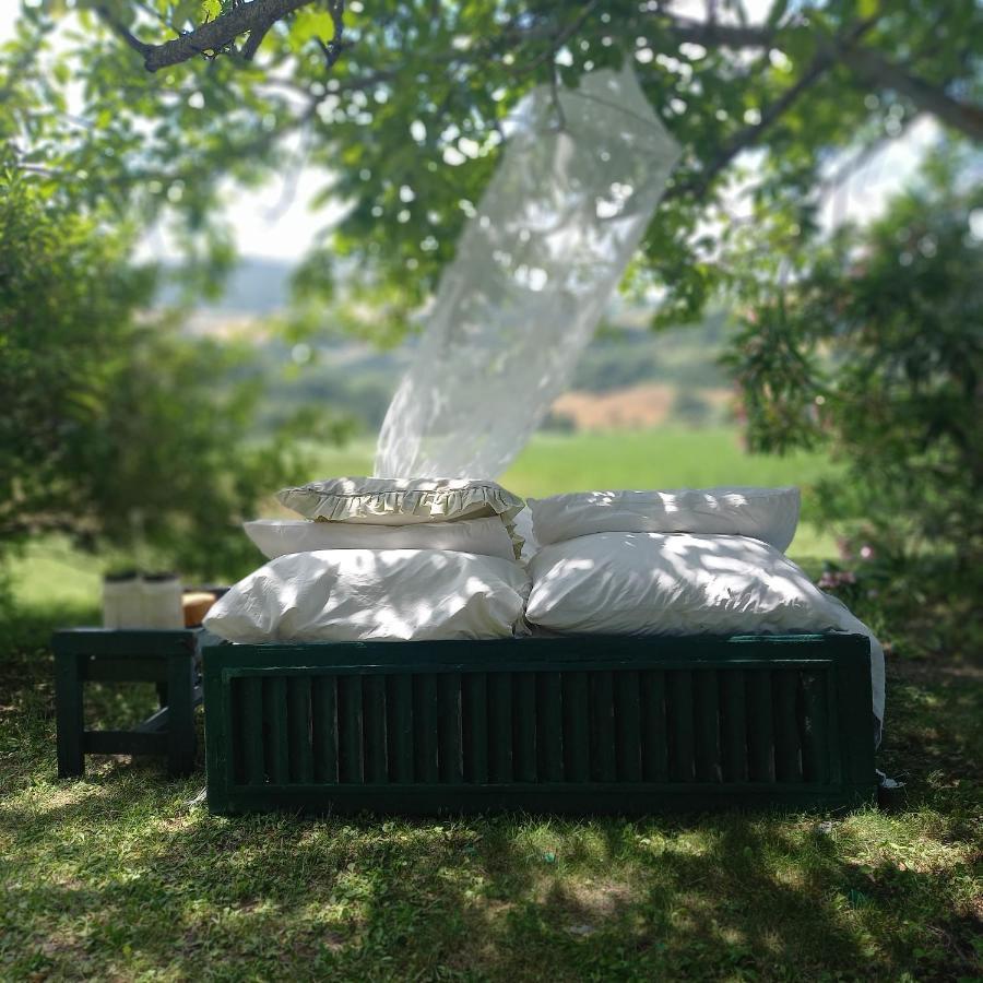 Le Bumbarelle Bed & Breakfast Tavoleto Ngoại thất bức ảnh