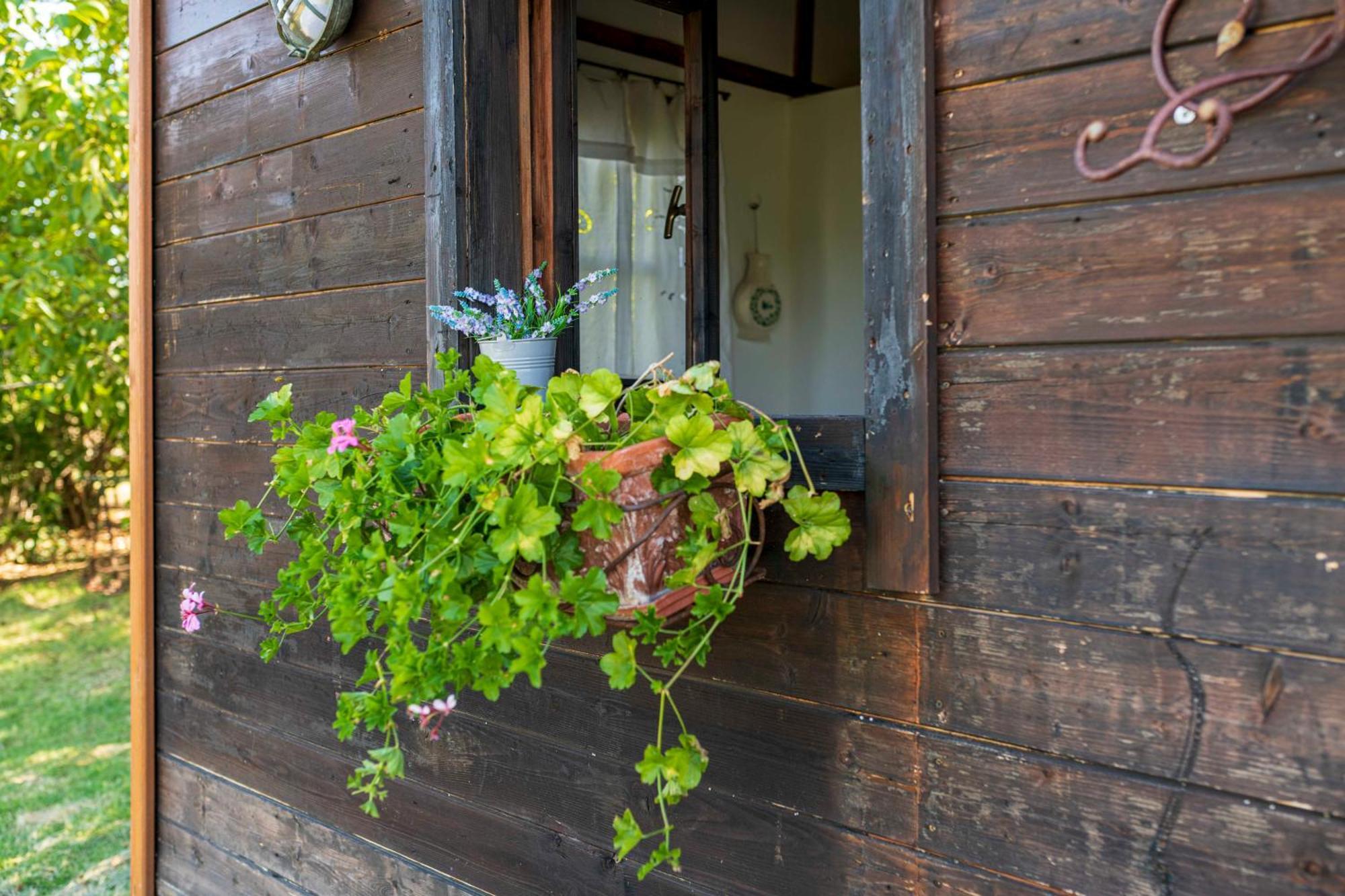 Le Bumbarelle Bed & Breakfast Tavoleto Ngoại thất bức ảnh